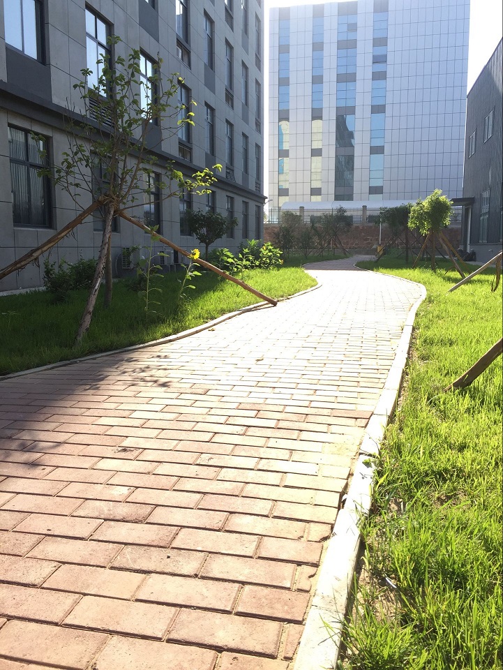 开云机械公司院内景