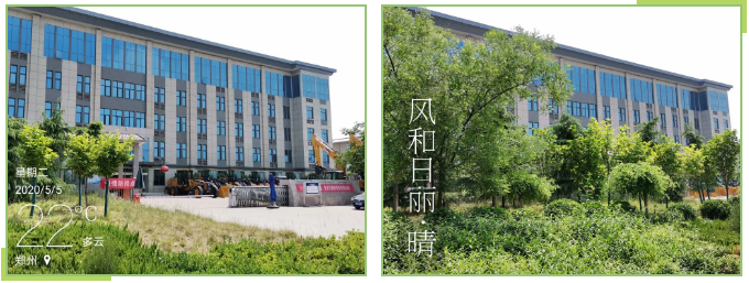 绿树环绕中的开云机械办公楼